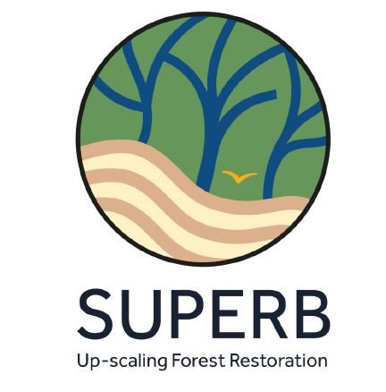 Logo superb