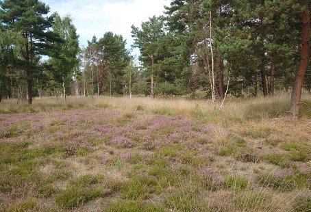 kaaistoep-1