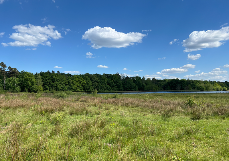 groote heide 1