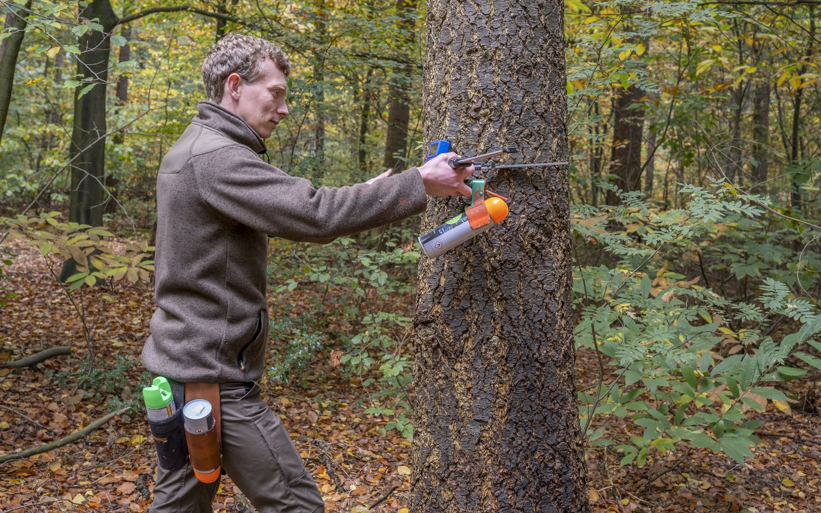 Bosbeheer meten (foto: Marjolein den Hartog)