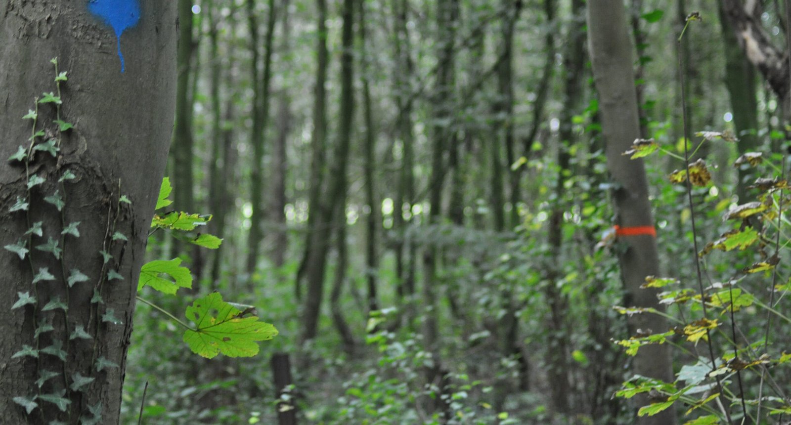 bleswerk-barbara-2021-scaled