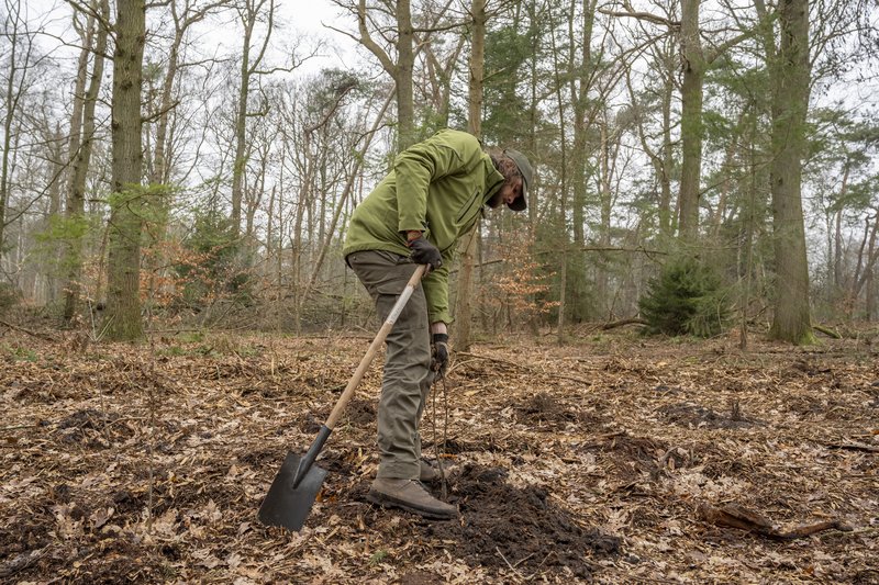 Aanplant van lindeboompjes op een particulier landgoed (Foto: Marjolein den Hartog)