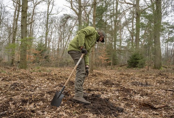 aanplant bosgroepen