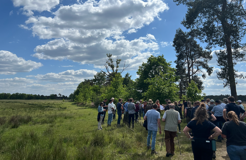 groote heide 3