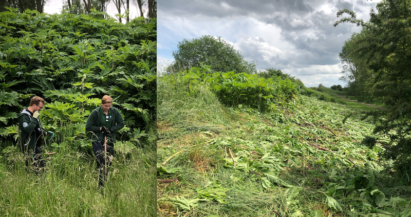 vrijwilligers-exoten