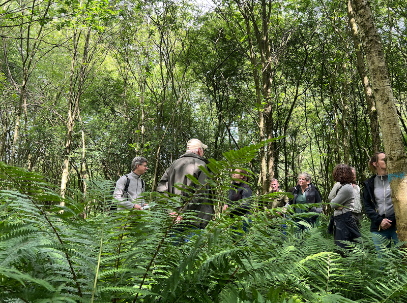 excursie-foto-bos