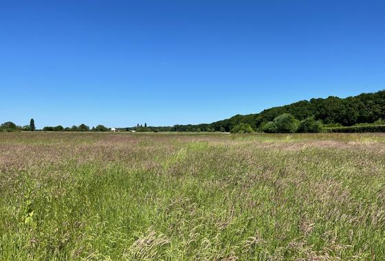 Graslandcursus-Reuver4
