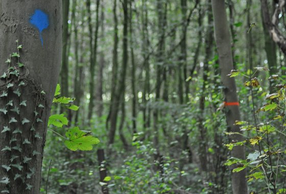 bleswerk-barbara-2021-scaled