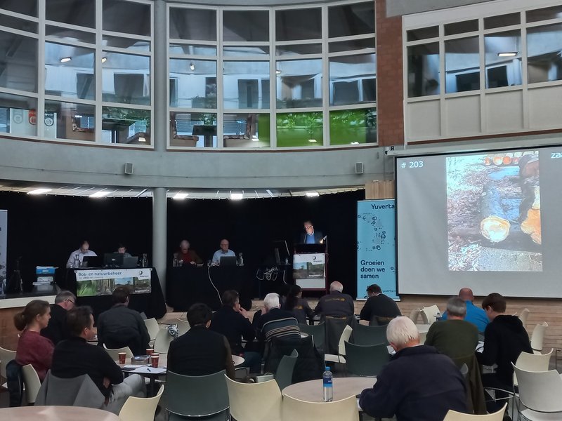 zaal met publiek gezien op de rug. Op een podium de veilingmeester. Daarnaast een beeldscherm met de kavels.