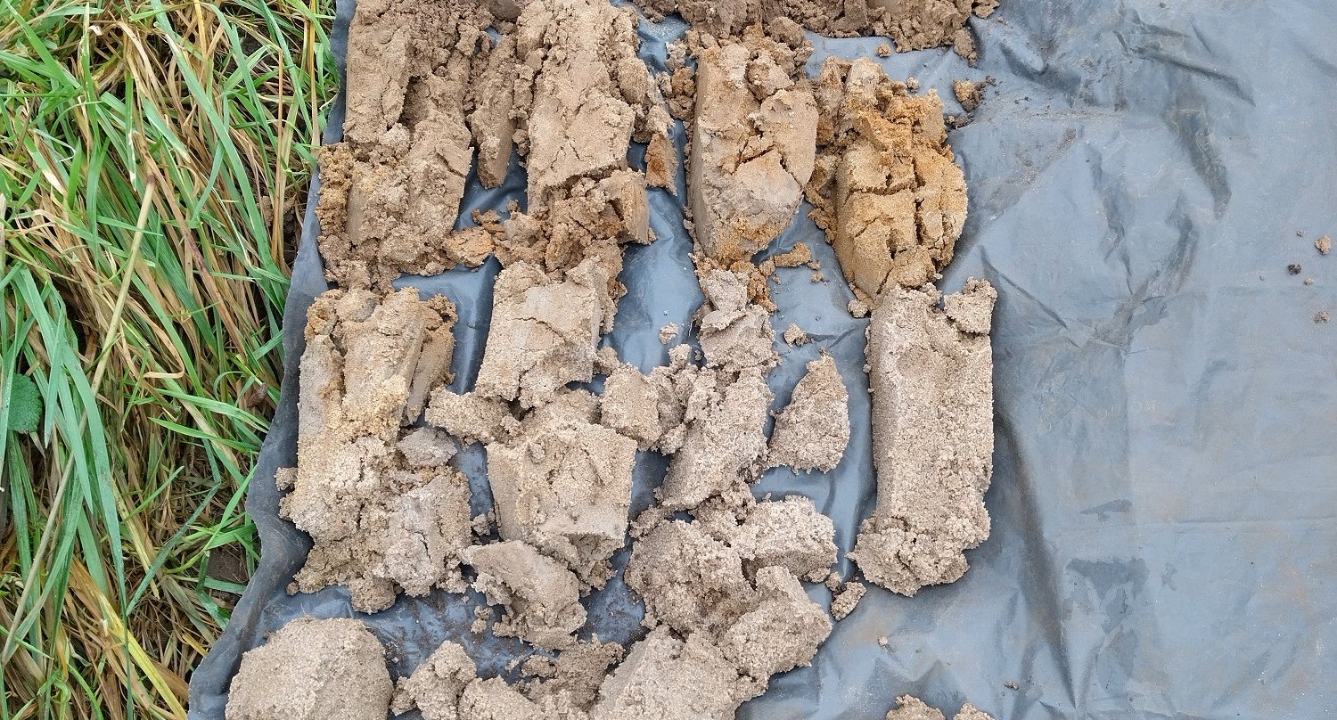 bodemprofiel-zalkerwaard