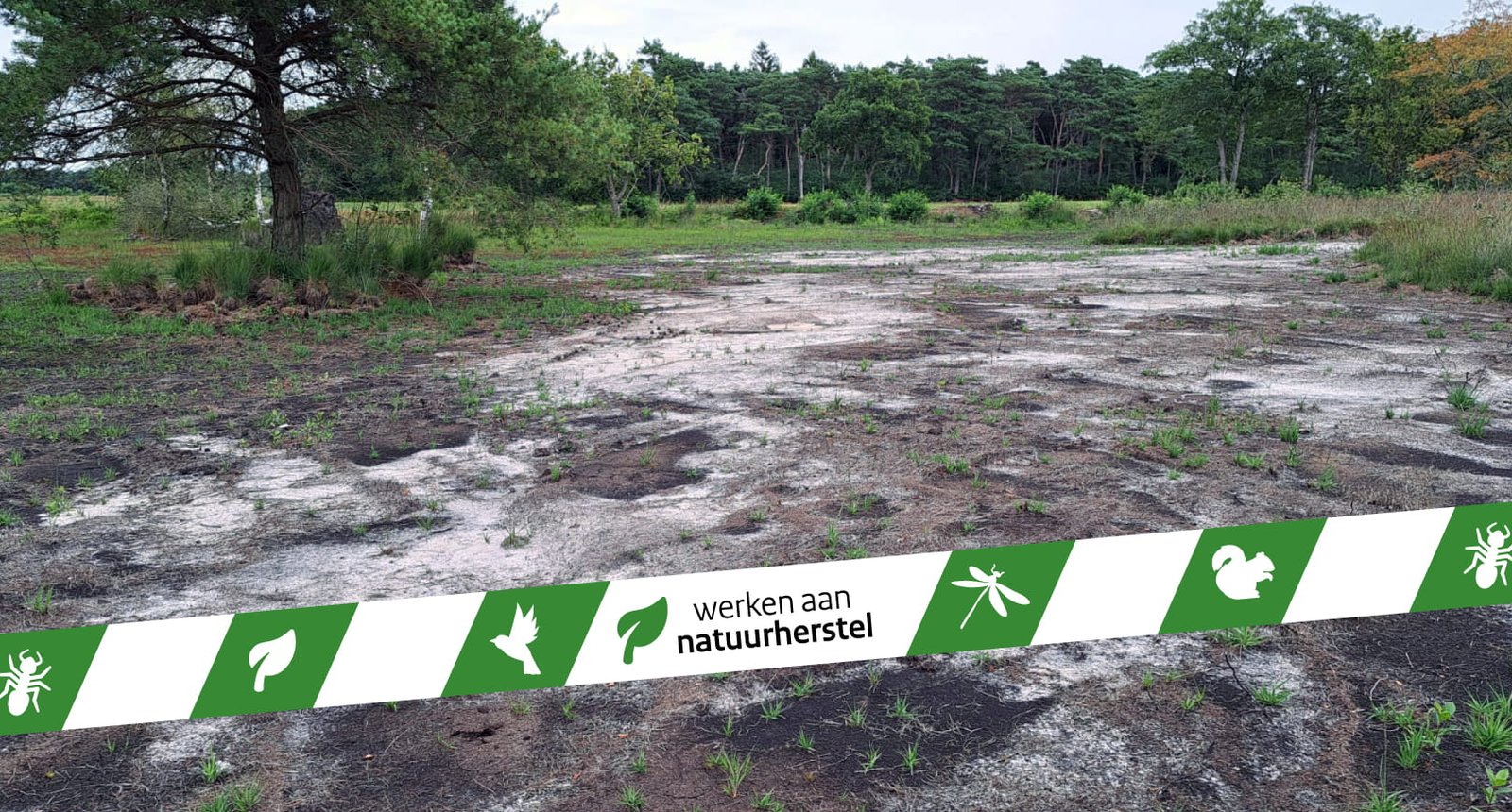 Foto's Lippenhuisterheide