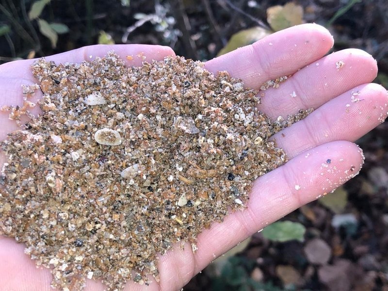 Een voorbeeld van schelpgruis.