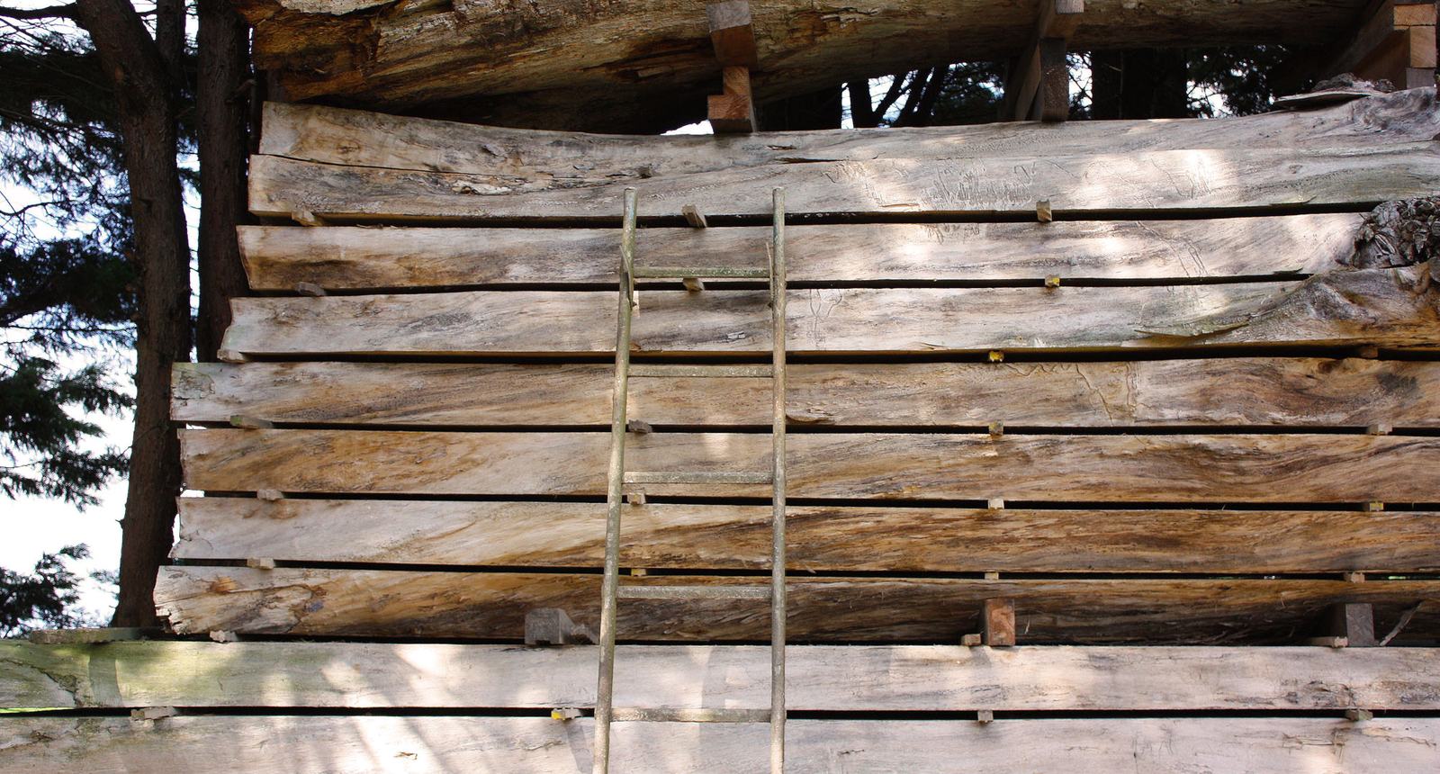 Boomstam-ladder