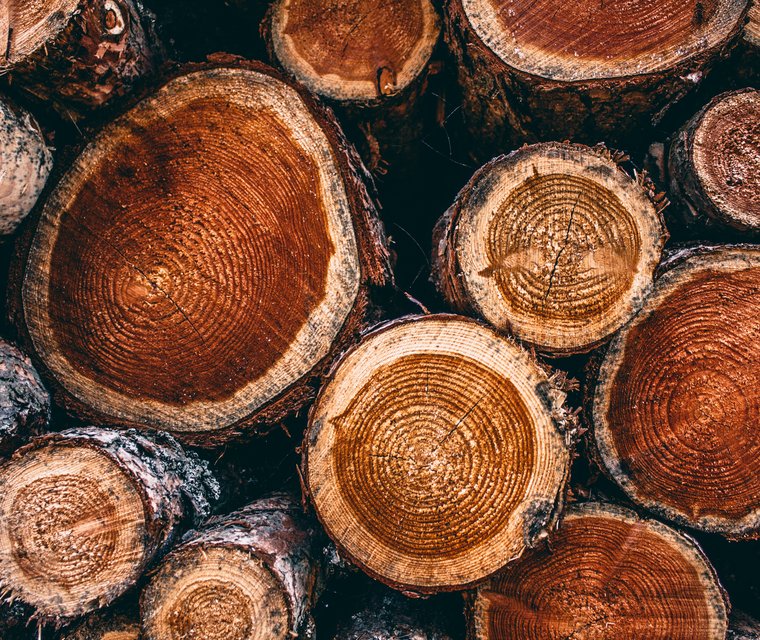 Hout