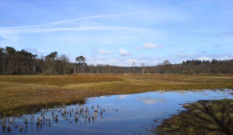 Wisselse Veen