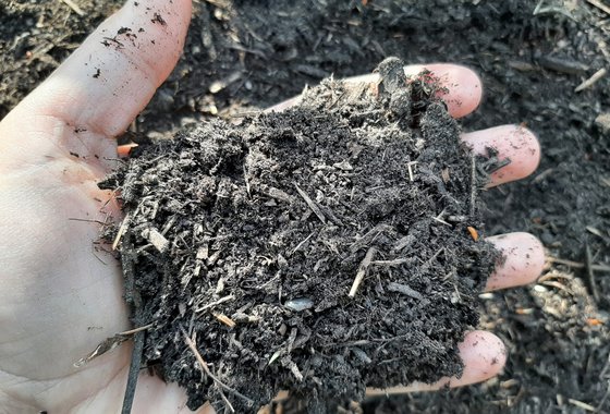 compost-scaled