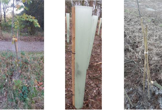 Wildbescherming-1