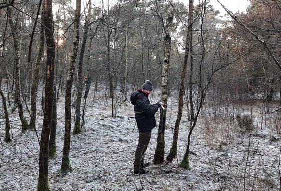 20221216_monitoring__demobos_Alphen_Chaam