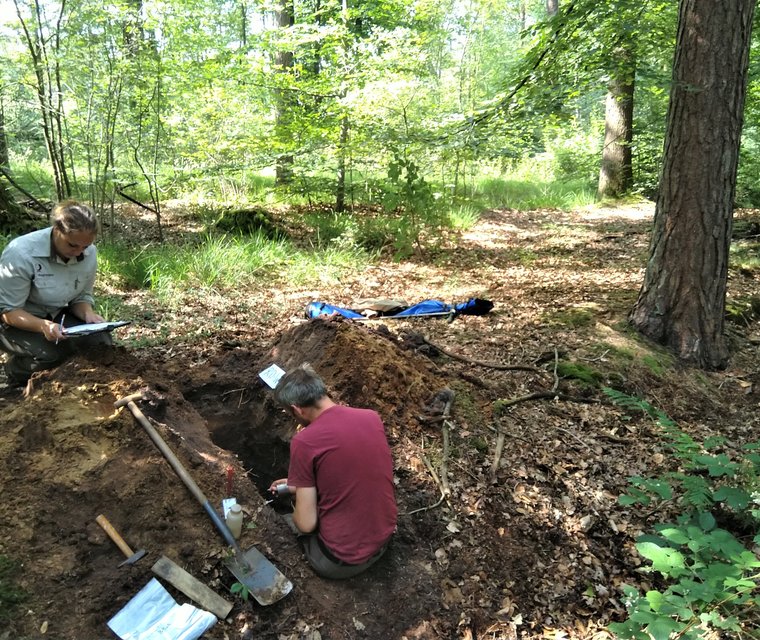 Bosbodem onderzoek