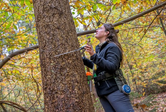 Nastascha-boom-meten-lores