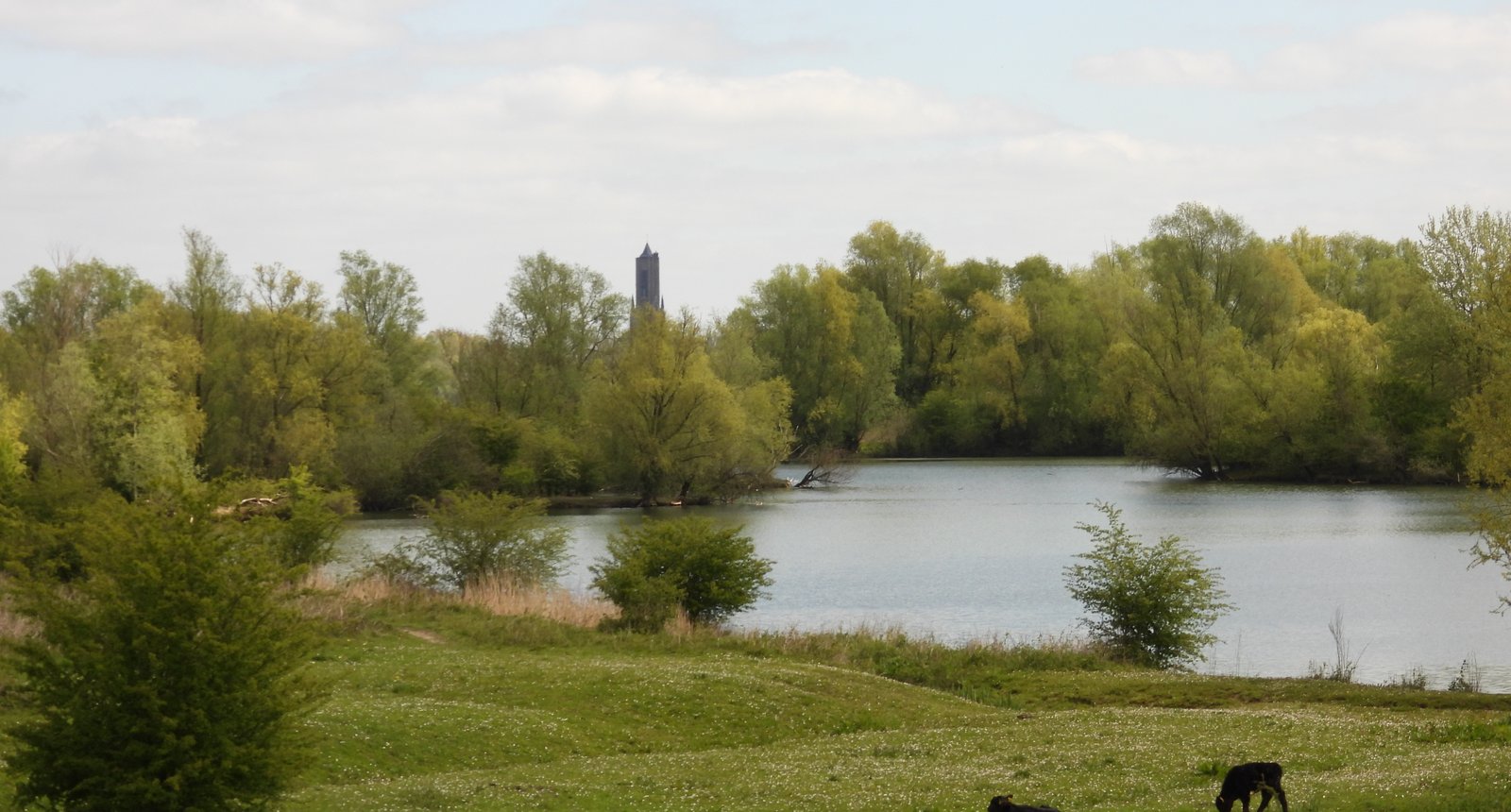 Arnhem-6