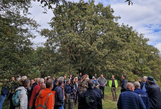 regiobijeenkomst-okt24-2