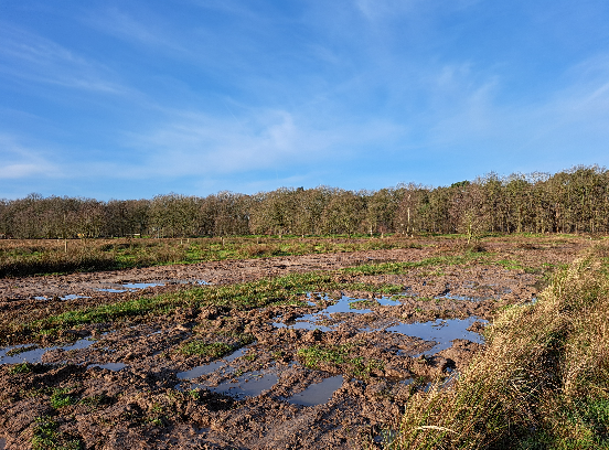 Werkzaamheden in volle gang