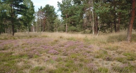 kaaistoep-1