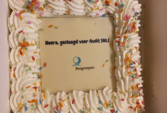 taart snl audit