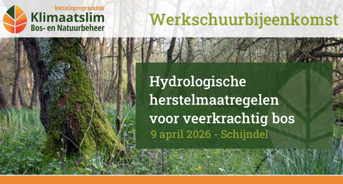 Werkschuurbijeenkomst Hydrologisch herstel (MMIP)
