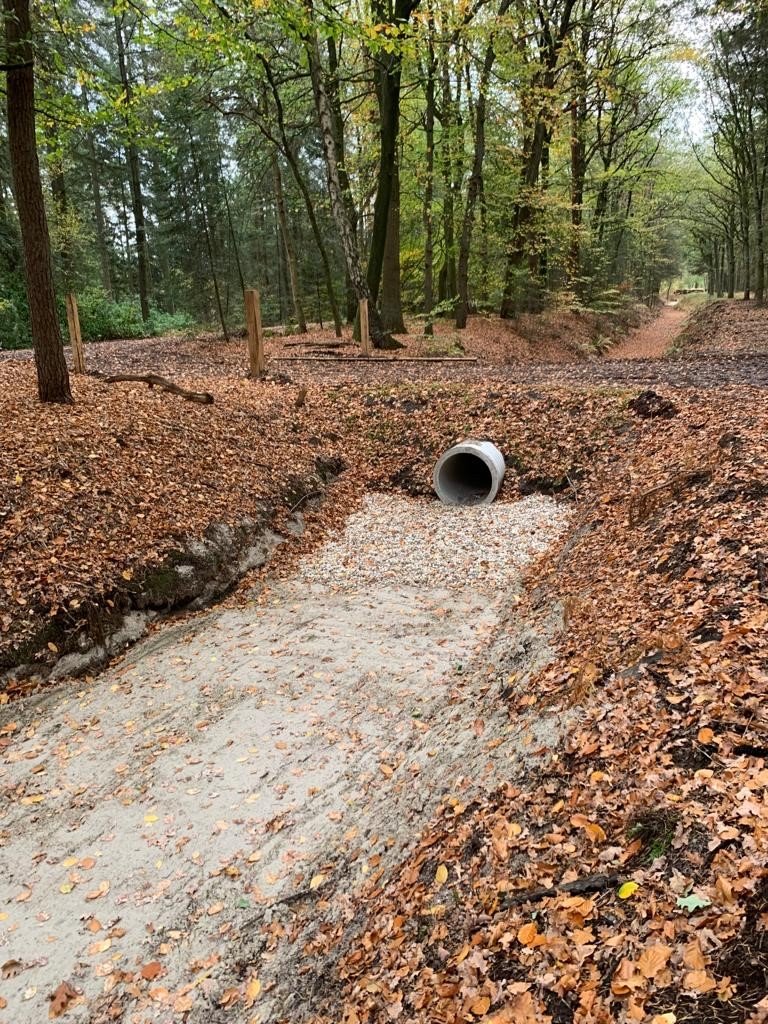 Buurserzand verondieping beek