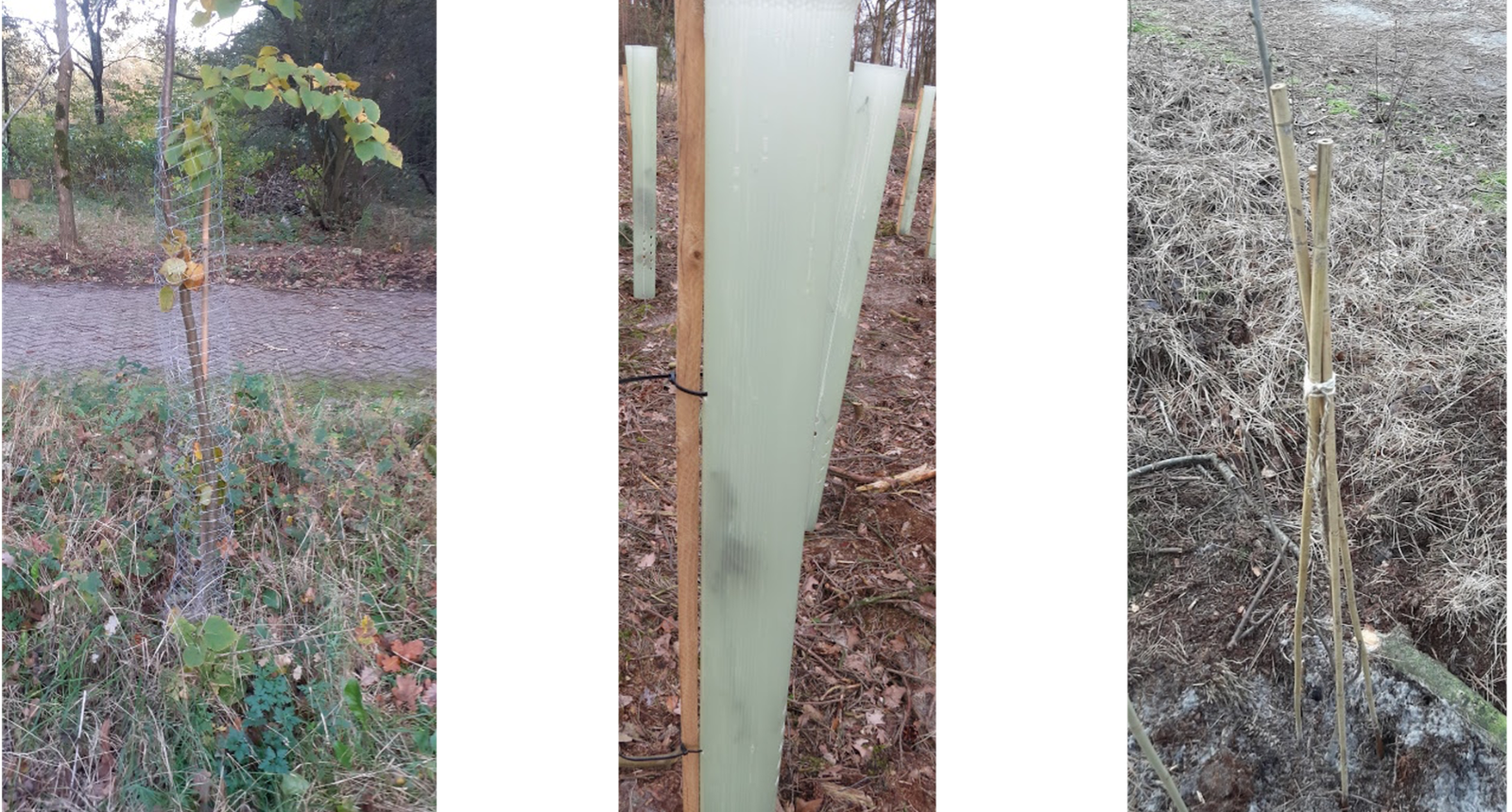 Wildbescherming-1