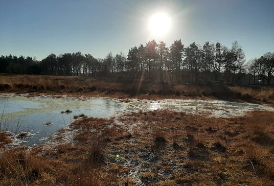 West-Brabant