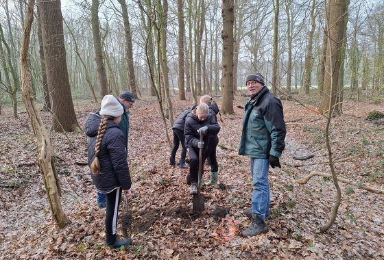 Bomen planten Het Jagershuis Wehl