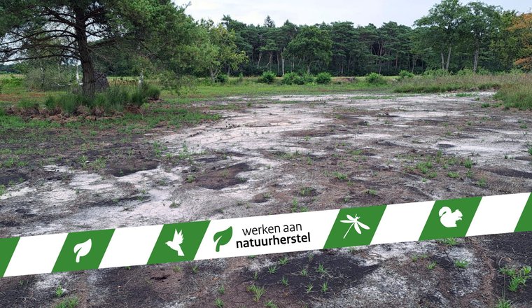 Foto's Lippenhuisterheide