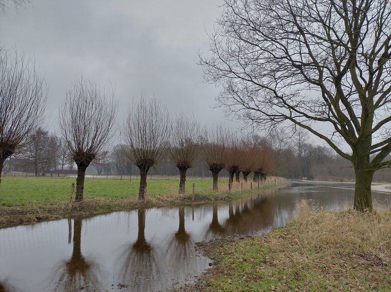 slenken in de zumpe