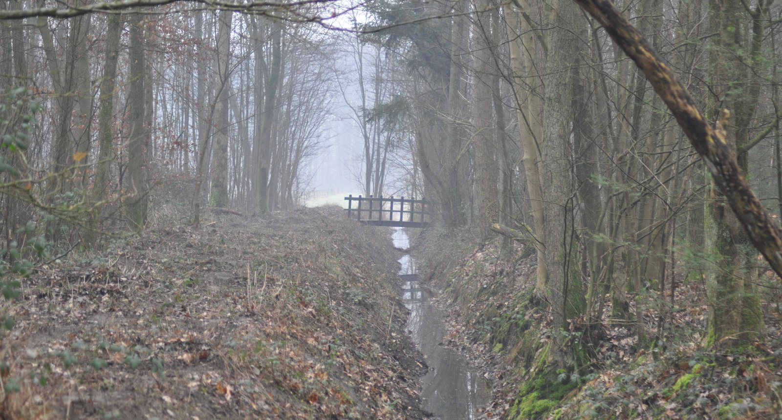 Wehlse bos
