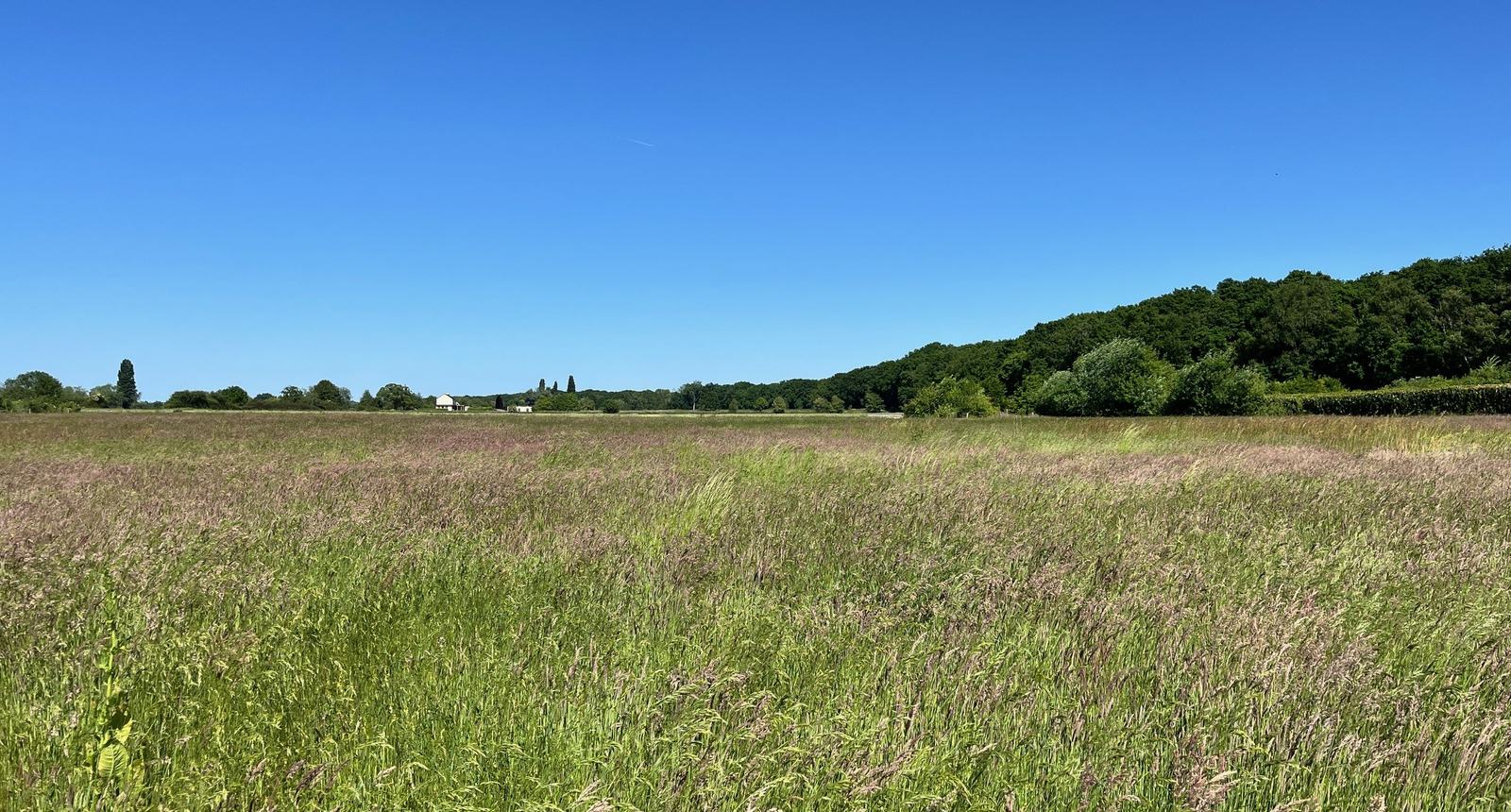 Graslandcursus-Reuver4