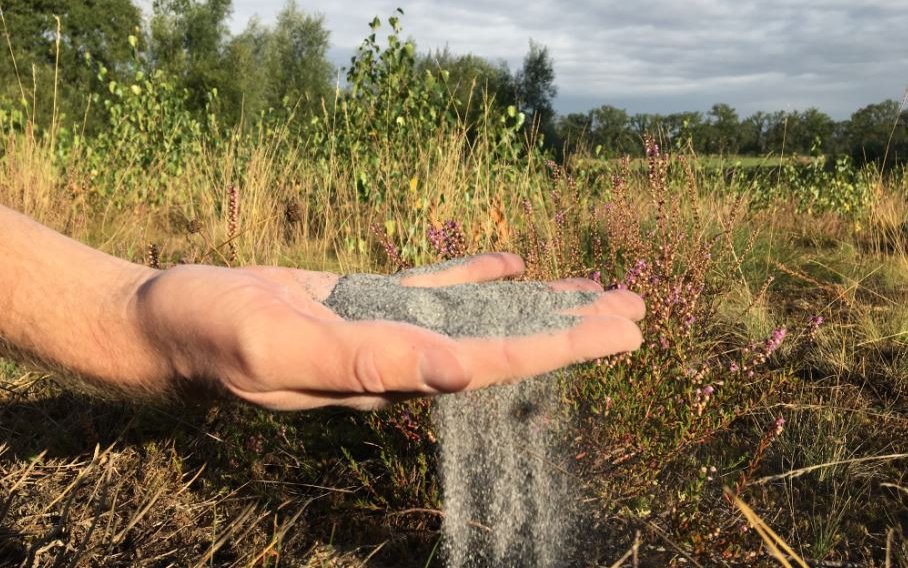 steenmeel-in-hand heide