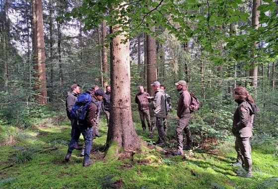 excursie