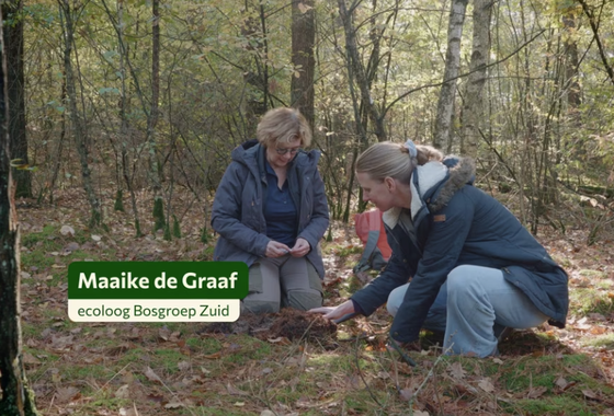 Scherm­afbeelding 2026-01-23 om 11.04.34