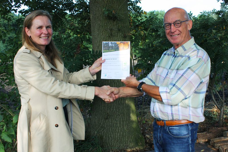 Bomen Buiten het Bos Barkel