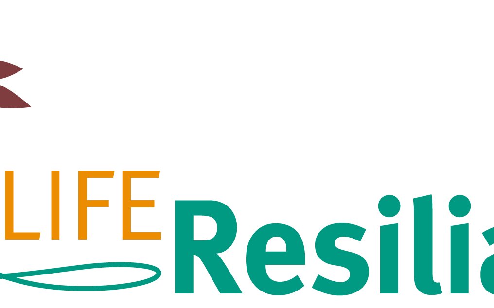 logo-resilias-RGB