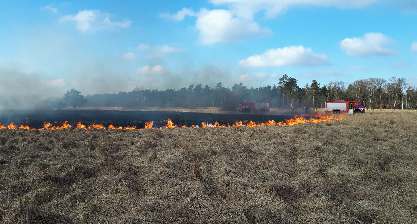 natuurbrand Deelense veld 2018