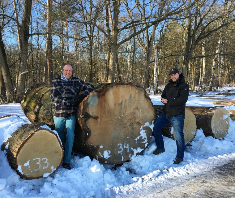 25e NL Rondhoutveiling - foto Bosgroepen