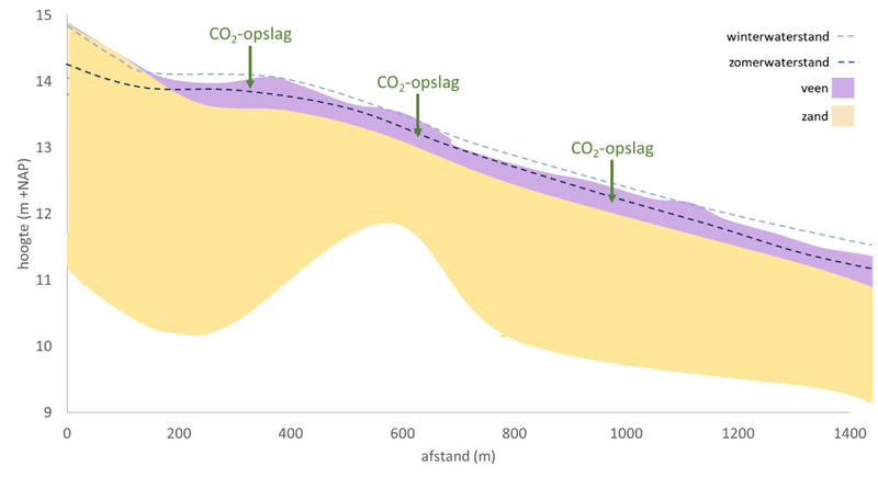 Gewenst beeld: doorstroomveen.