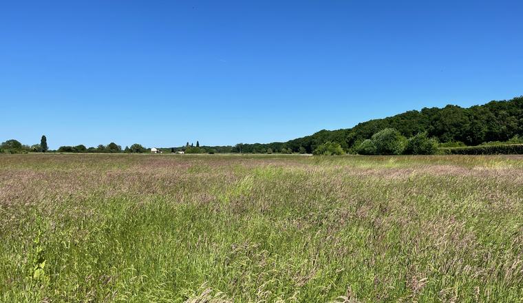 Graslandcursus-Reuver4
