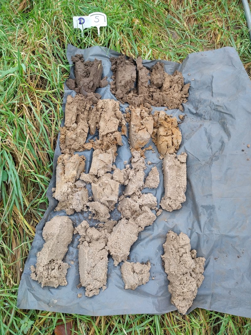 Voorbeeld van een boorprofiel uit de Zalkerwaard