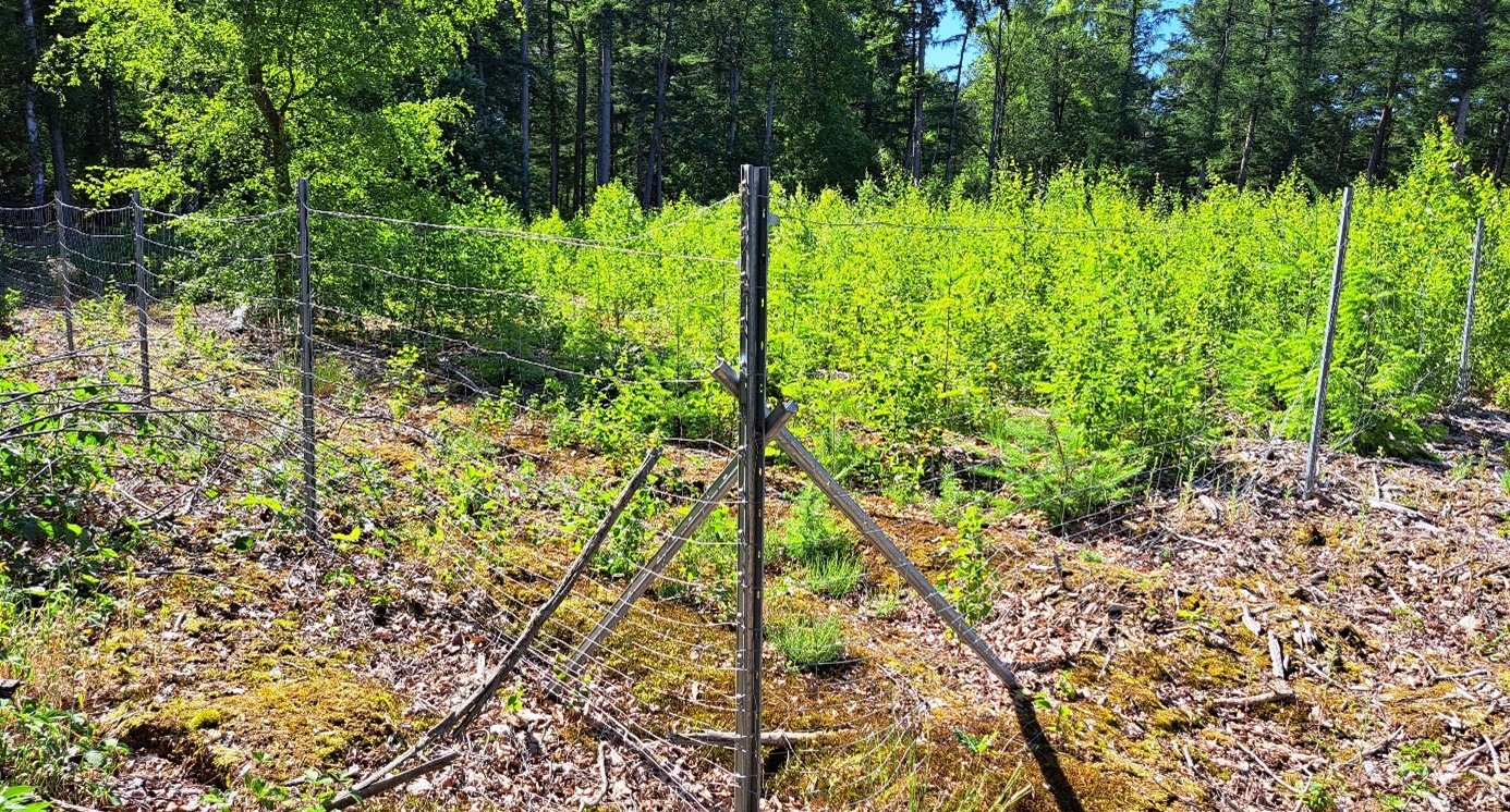 tijdelijk wildraster