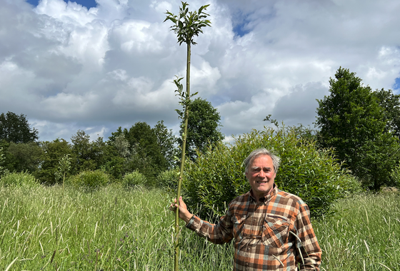 Wilgengriend-aanplant-Marrie